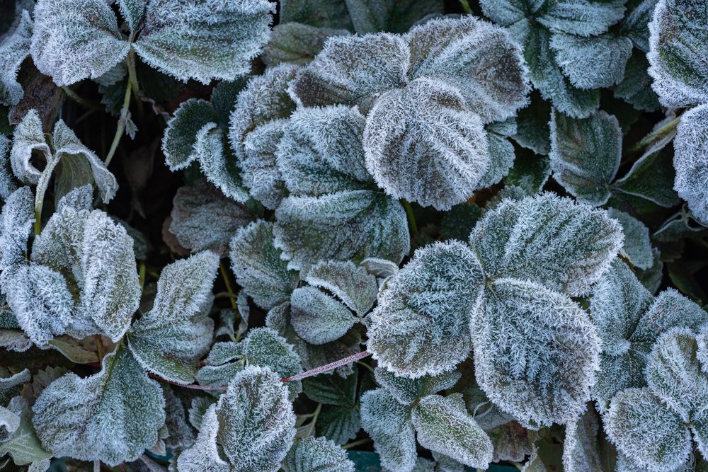 Фотография автора Ольга Альт