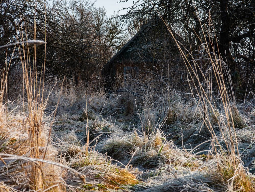 Photograph by Vitaliy