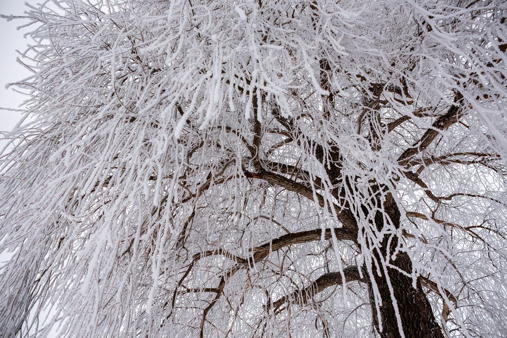 Фотография автора Ольга Альт