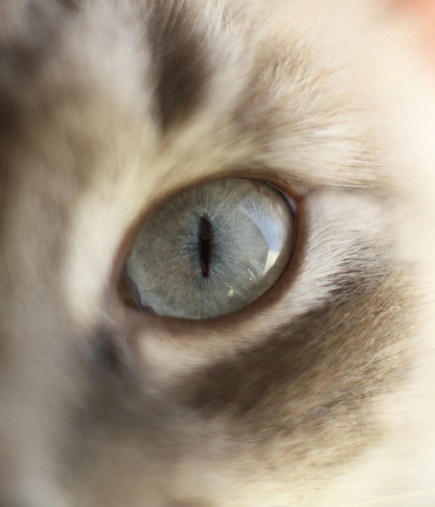 Photograph by Yaroslav