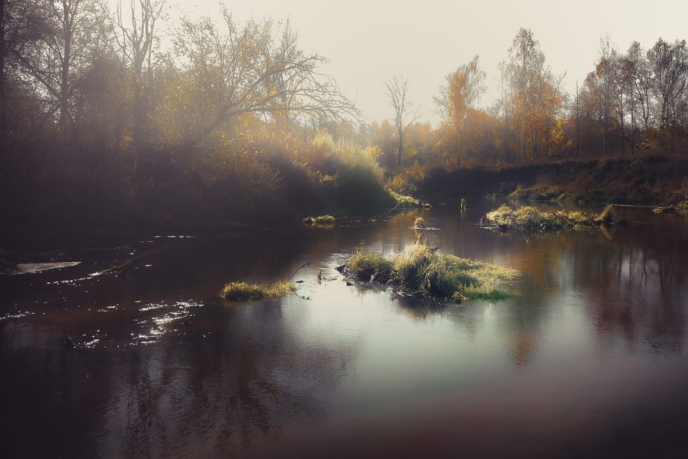 Photograph by Сергей Забиякин