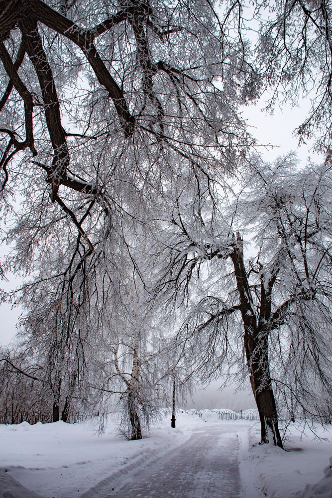Фотография автора Ольга Альт