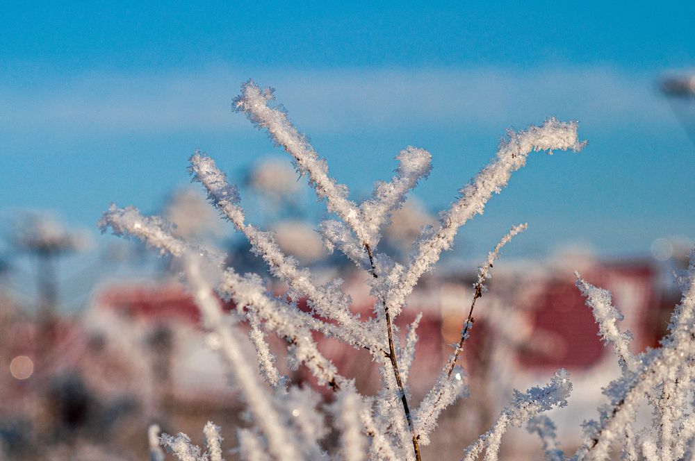 Photograph by Денис Кичев