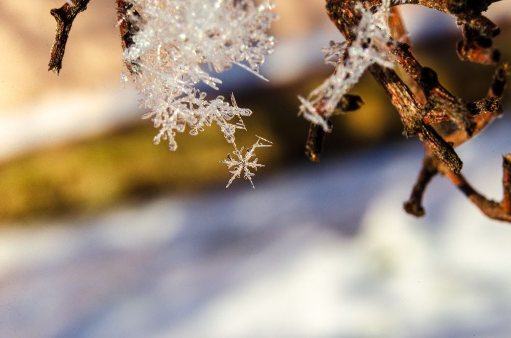 Photograph by Денис Кичев