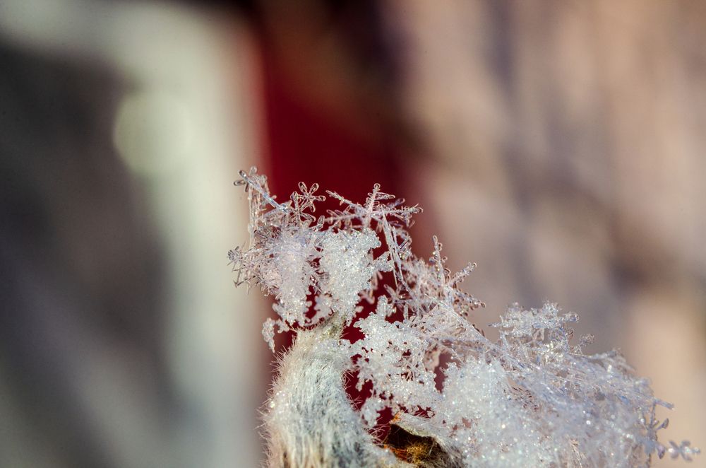 Photograph by Денис Кичев