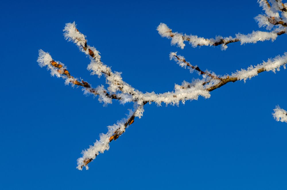 Photograph by Денис Кичев