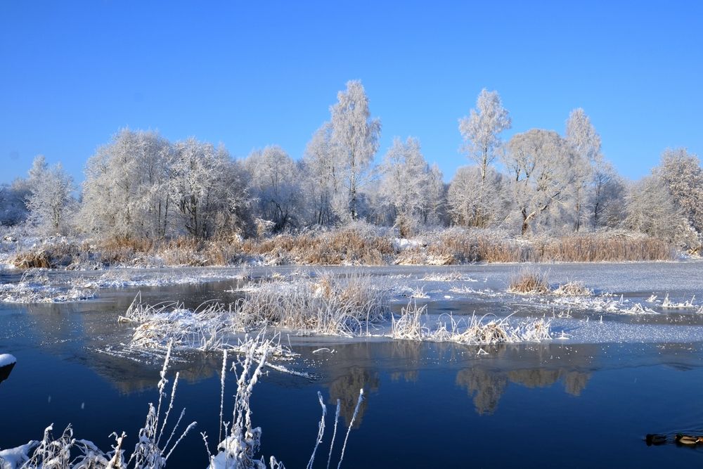 Photograph by Rita Būgienė