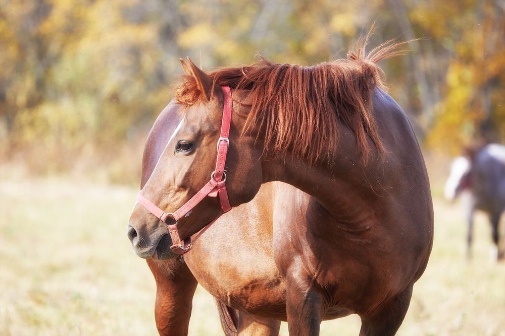 Фотография автора Дмитрий Смирнов