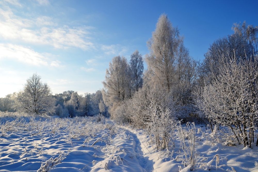 Photograph by Rita Būgienė