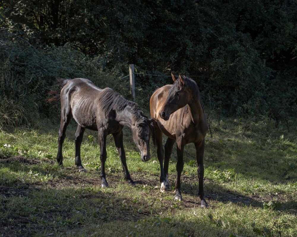 Фотография автора Uljana Kuchar