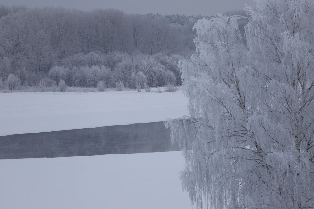 Photograph by Лариса Баташева