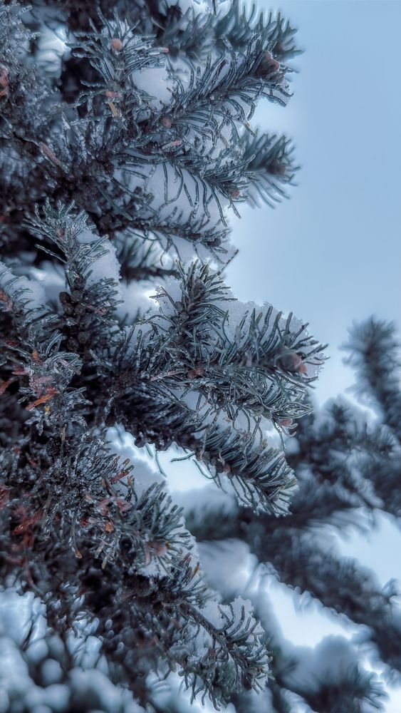 Фотография автора Елизавета Синицына