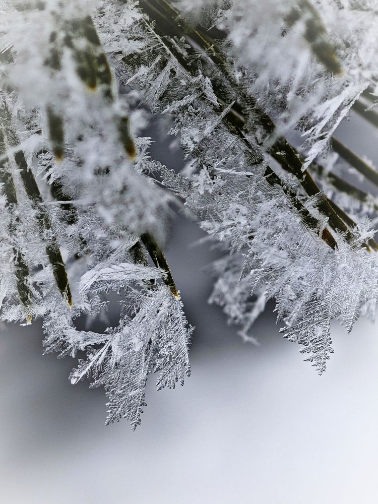 Photograph by Надежда Кангина