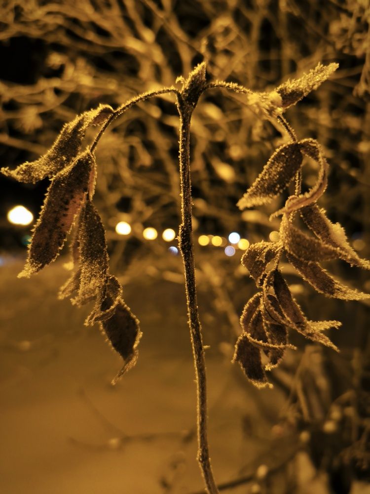 Photograph by Ольга Денисова