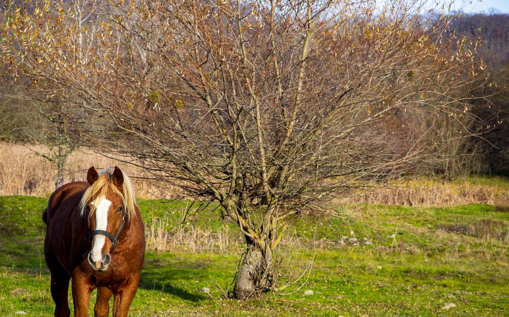 Photograph by Михаил Еремеев