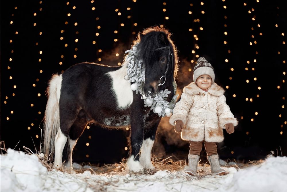 Фотография автора Онучина Юлия