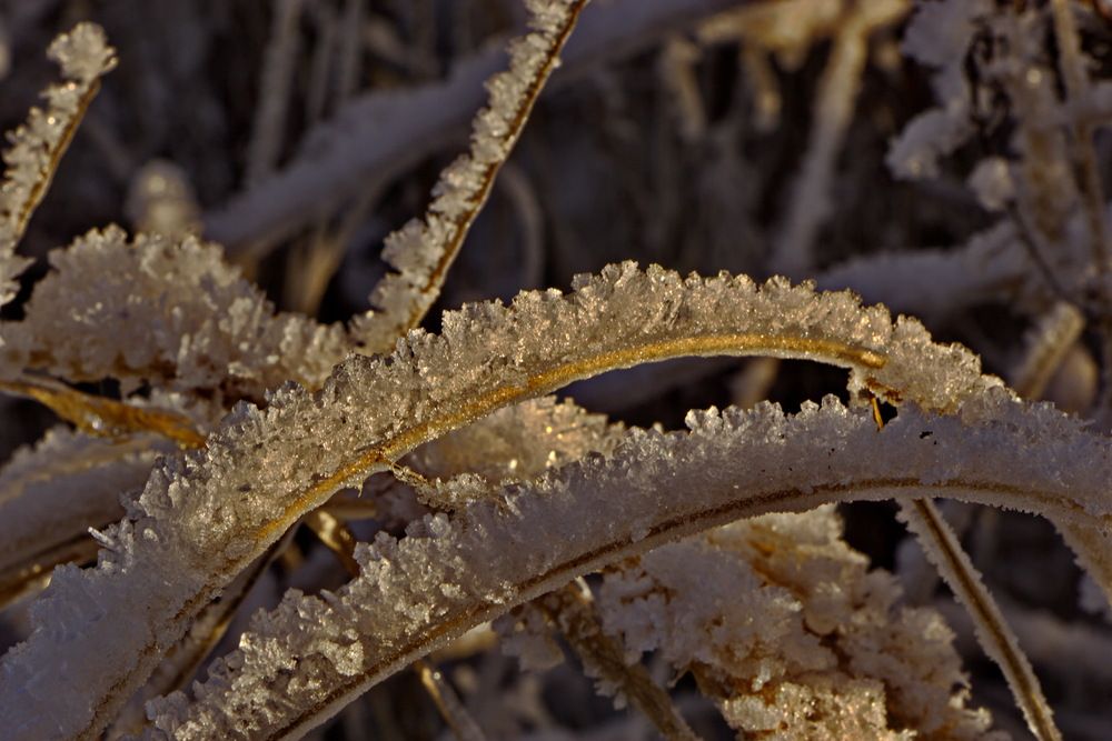Фотография автора Анатолий Борисов