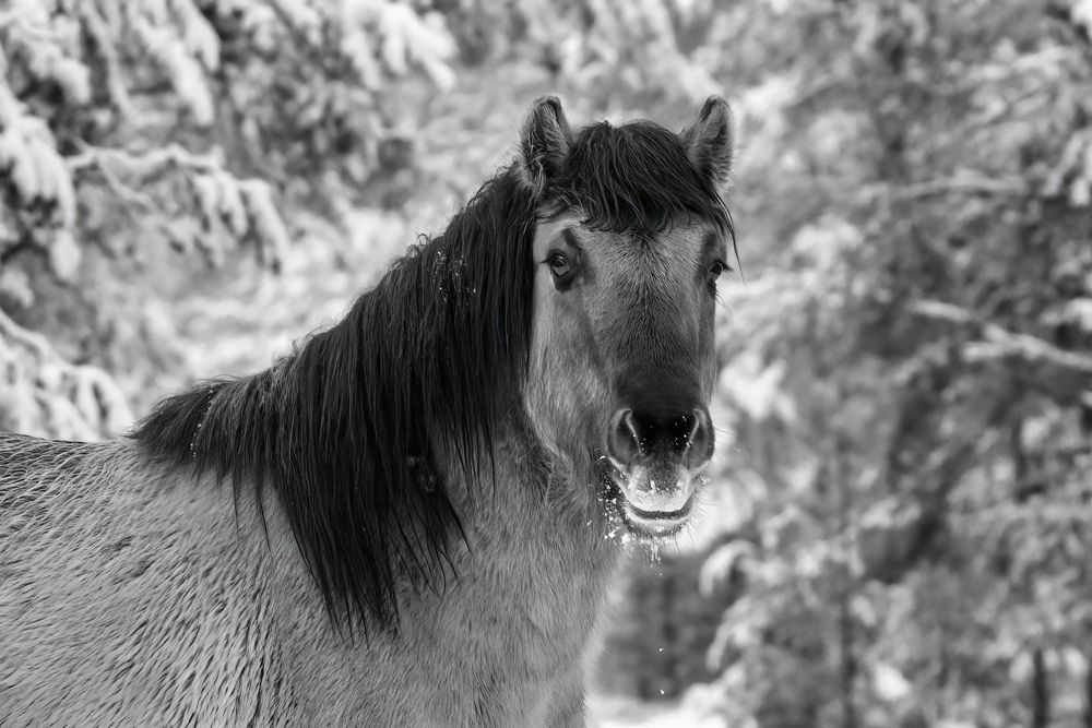 Фотография автора Валерия Трейтяк