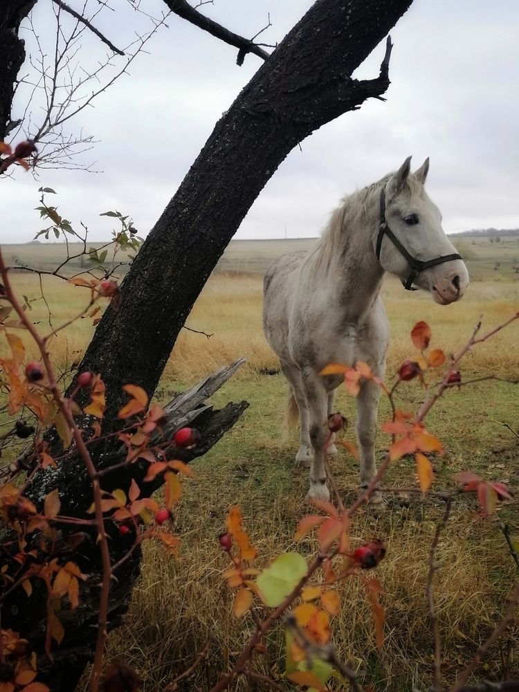Photograph by Анжелика
