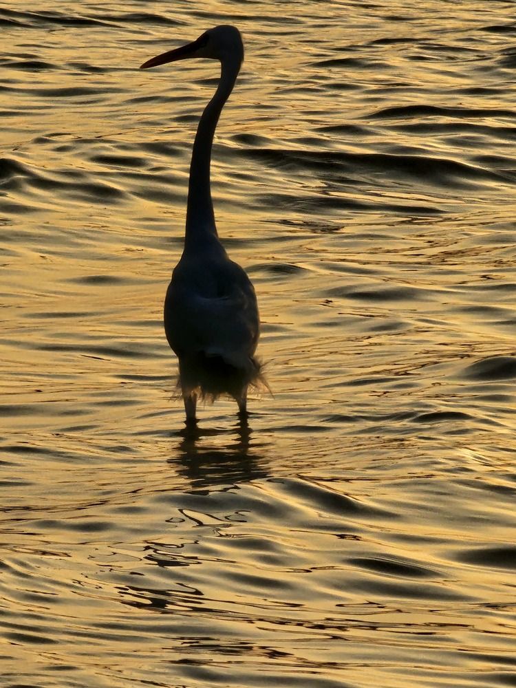 Photograph by Edmund Randal