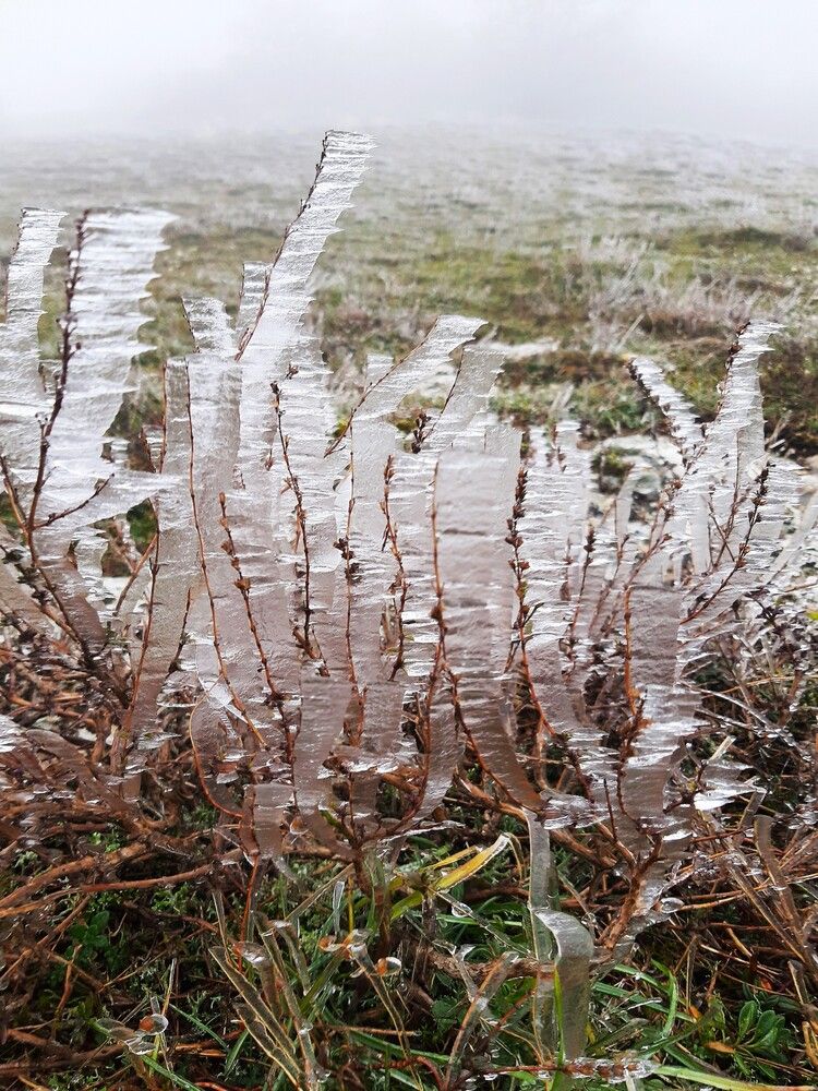 Photograph by Галина Глазкова