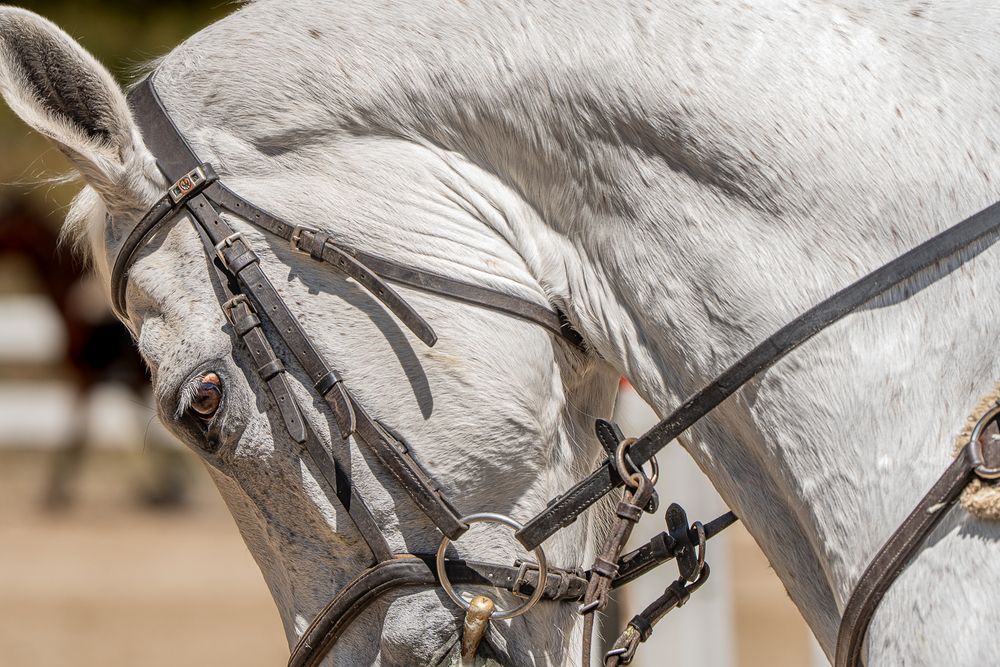 Photograph by maria paula lozano