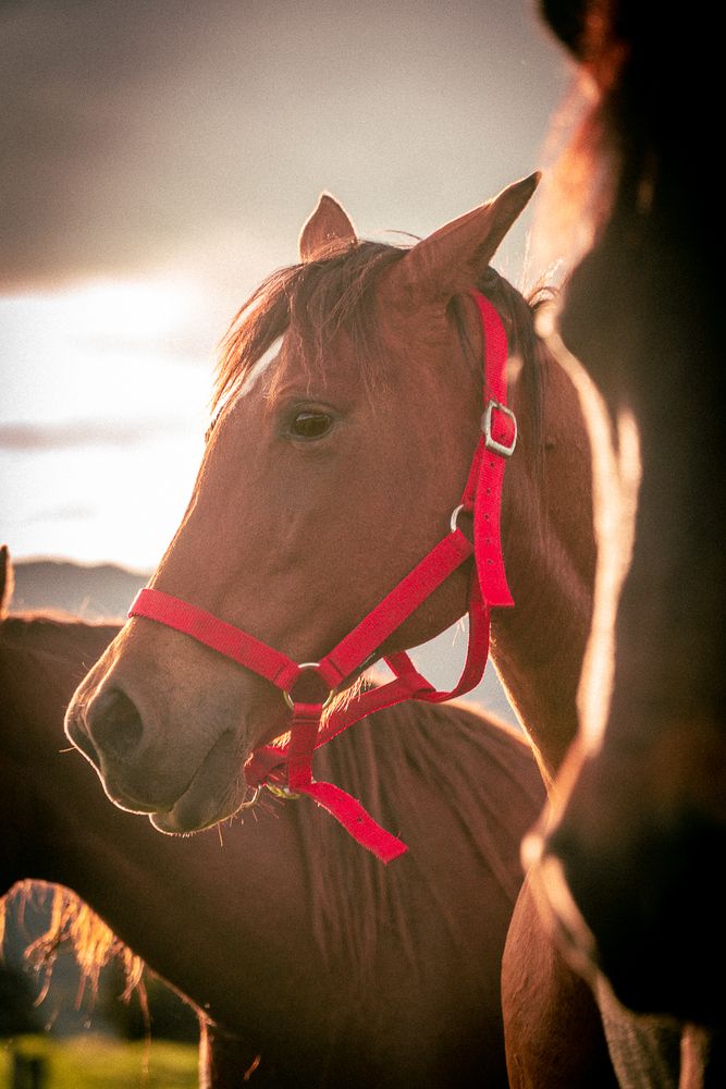 Photograph by maria paula lozano