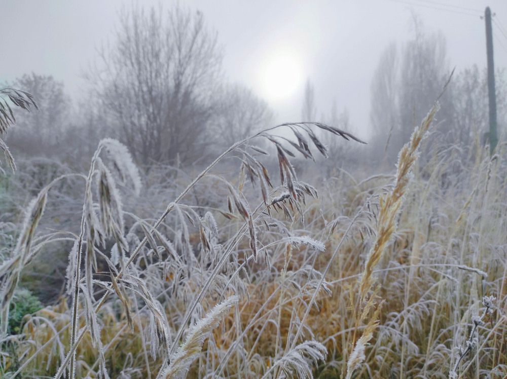 Предзимний йней