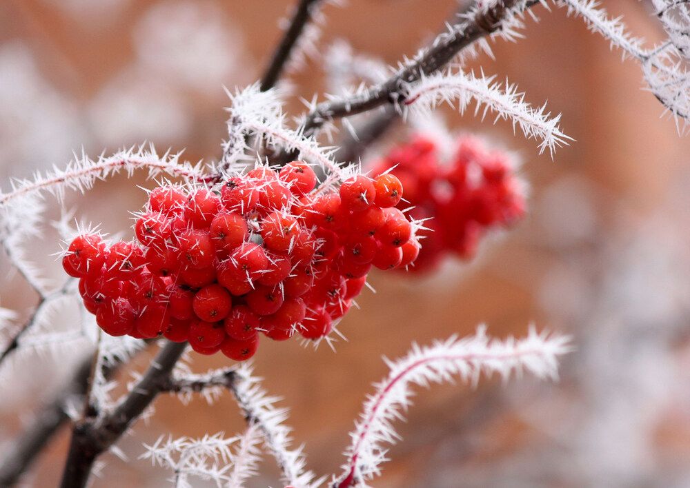 Photograph by Наталия Васильева