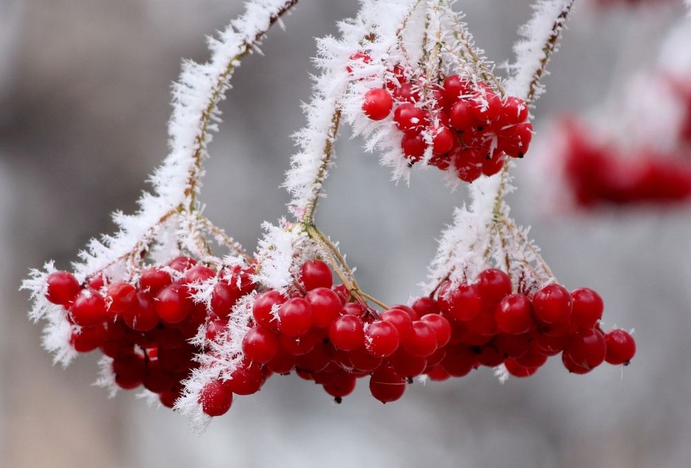 Photograph by Наталия Васильева