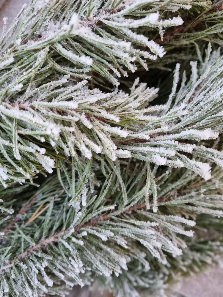 Фотография автора Наталья Агапова