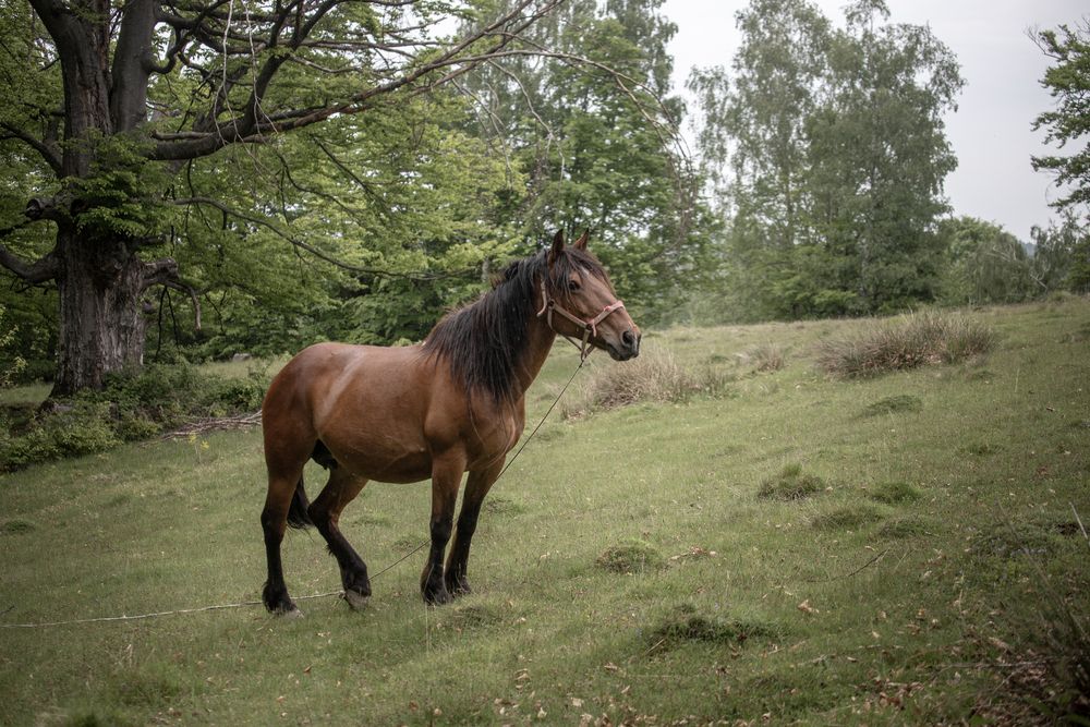 Фотография автора Uljana Kuchar