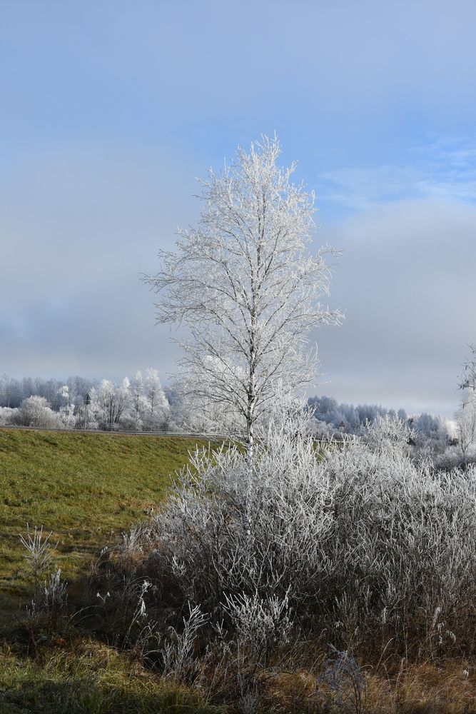 Photograph by Юлия Финогенова