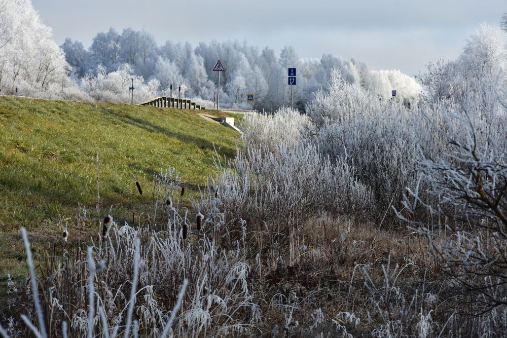 Photograph by Юлия Финогенова