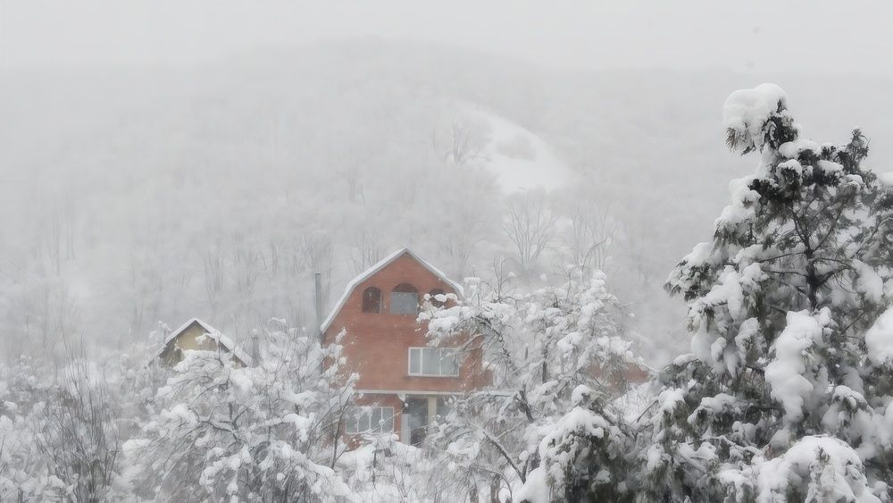 Photograph by Михаил Еремеев