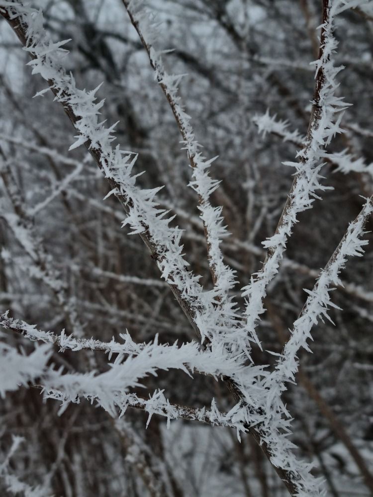Фотография автора Наталья Агапова