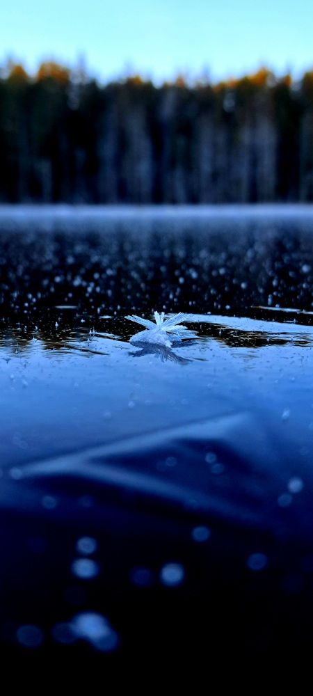 Photograph by Галина Перепечаева