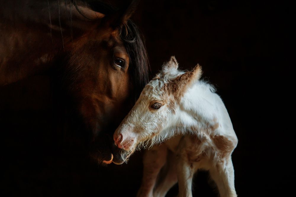 Photograph by Lenka Rondevaldová