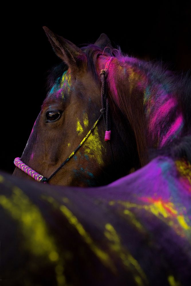 Photograph by Lenka Rondevaldová