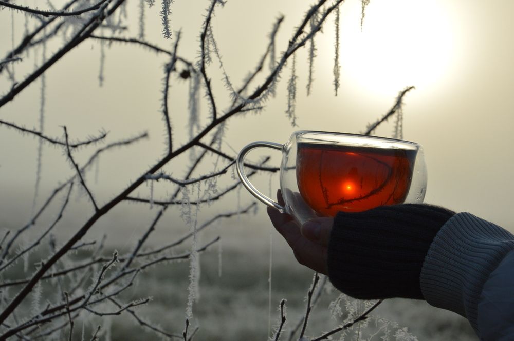 Фотография автора Елена Максимова