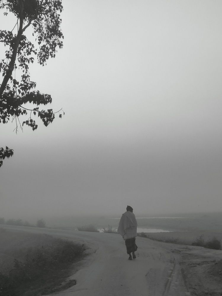 Photo #13016900