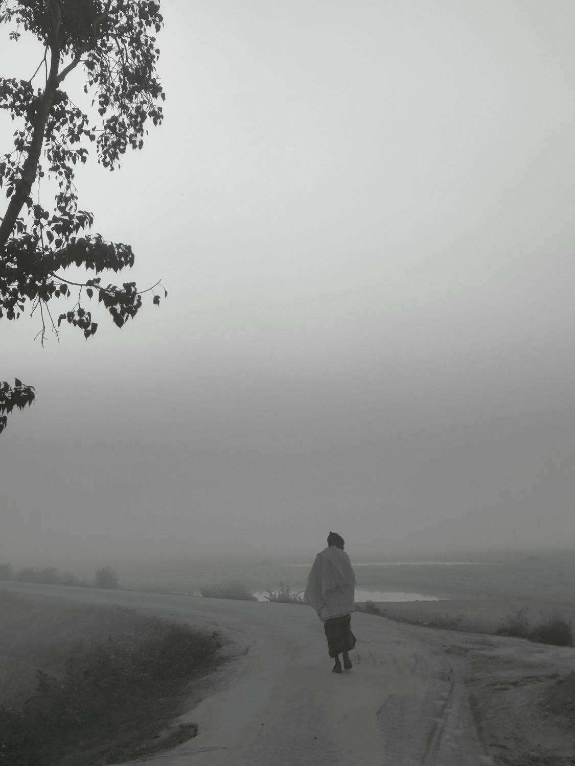 Photo #13016900