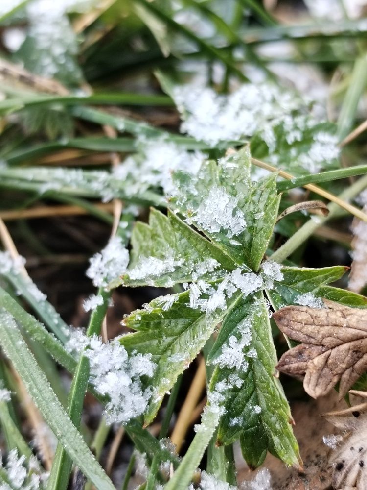 Photograph by Юлия Финогенова