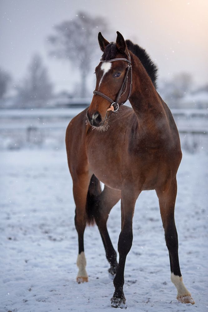 Photograph by Ирина Казанцева