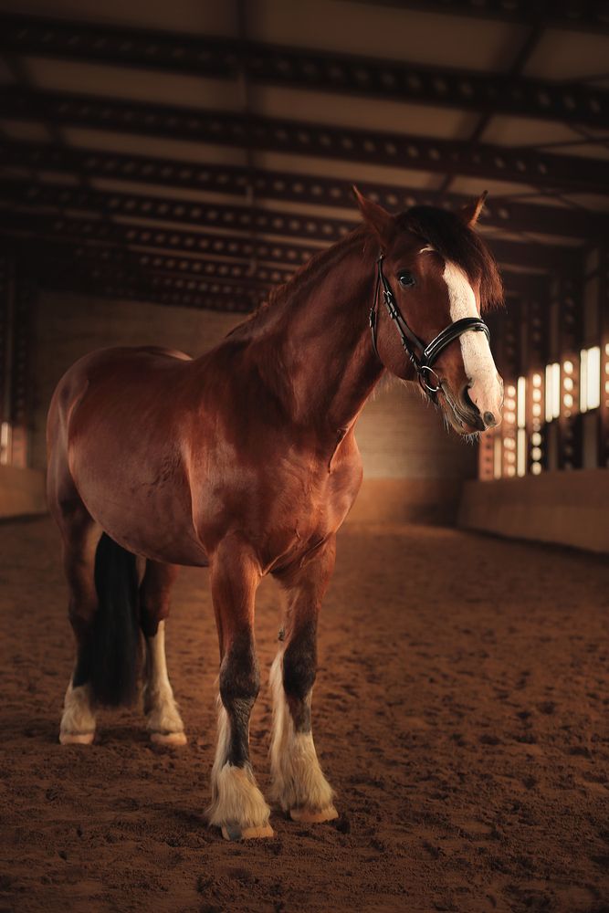 Photograph by Ирина Казанцева