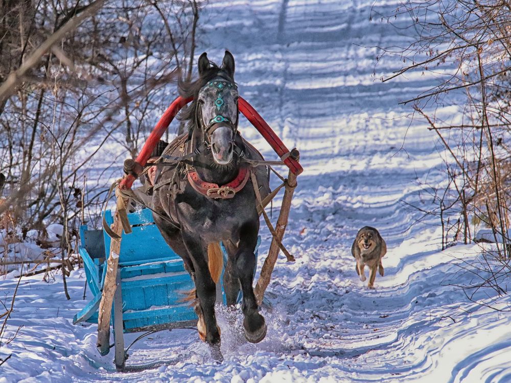 Photograph by Дмитрий Маккеев