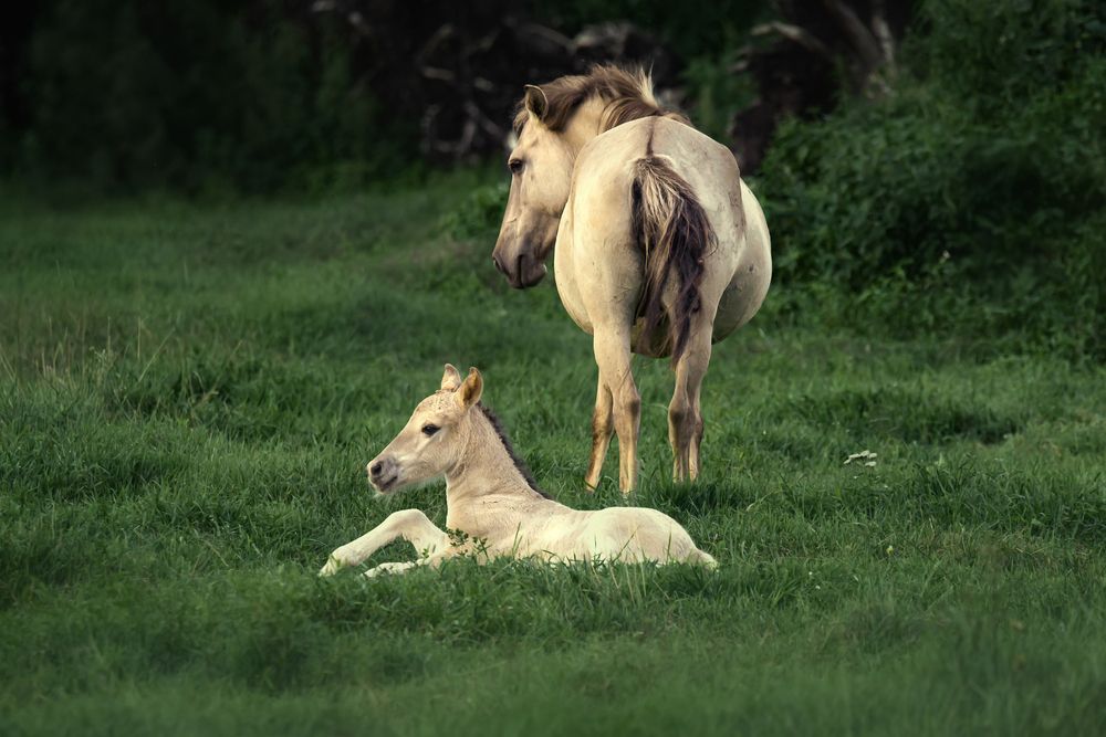 Фотография автора Валерия Трейтяк