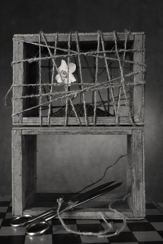 весь мир_отбор