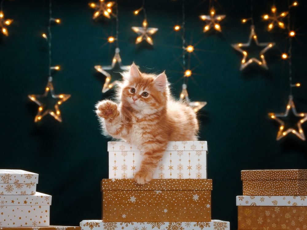 Photograph by Ирина Левакова