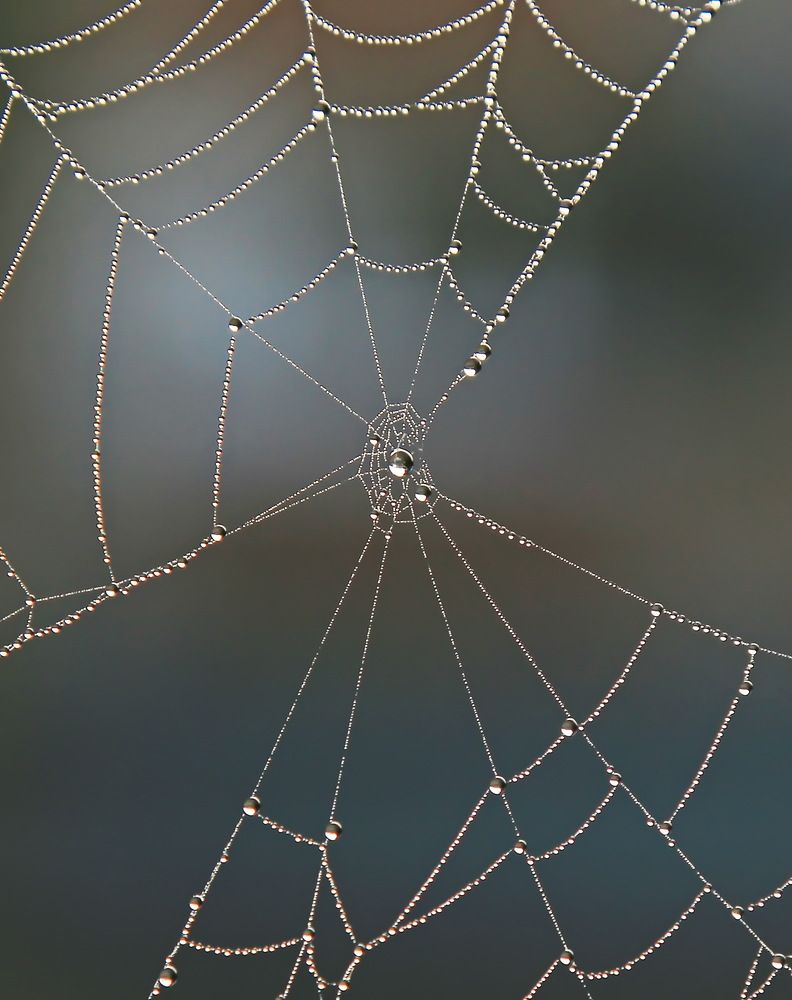 Photograph by Сергей Кульков